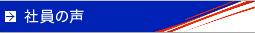 社員の声